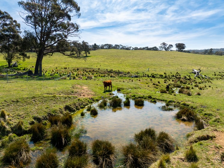 Lot 1, 1660 Edith Road Oberon NSW 2787 - Image 3