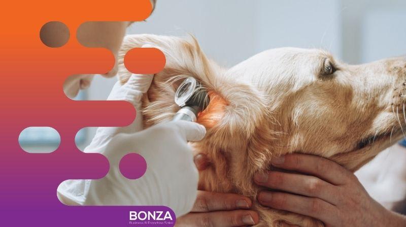 Animal Related  business for sale in Brisbane City - Image 3