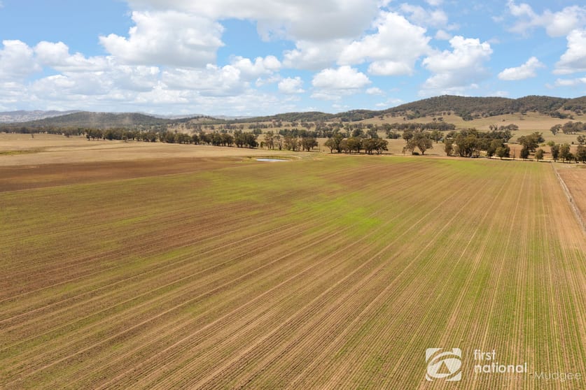 Click to view all images 365 Erudgere Lane Mudgee NSW 2850 - Image 3