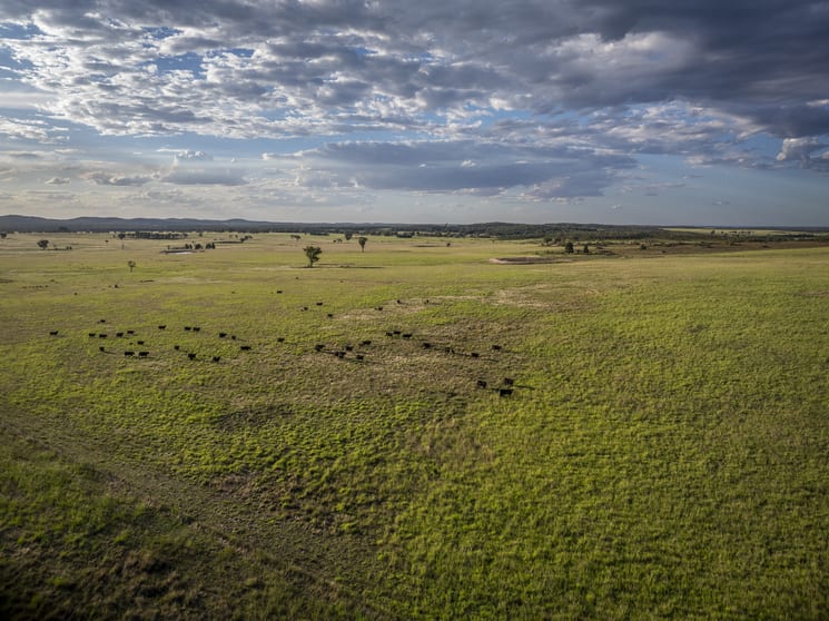 Click to view all images 159L Peak Hill Road Dubbo NSW 2830 - Image 2
