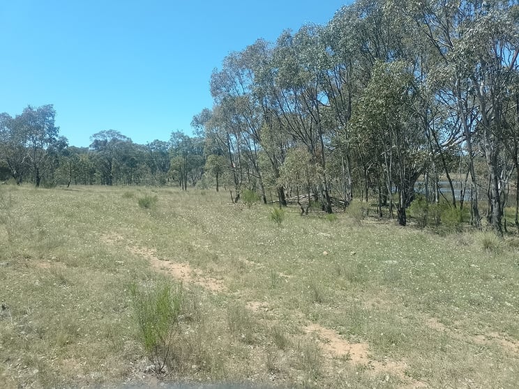 Click to view all images 1025 Castlereagh Highway Dunedoo NSW 2844 - Image 2