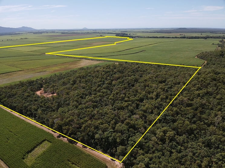 Lot 101 & 3 Lannercost Extension Road Lannercost QLD 4850 - Image 3