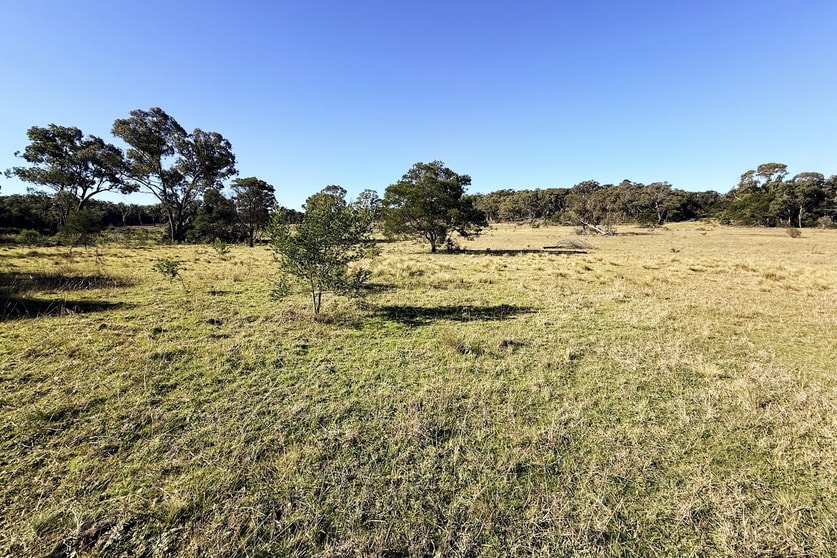 Click to view all images 8/868 Jerrara Road Marulan NSW 2579 - Image 2