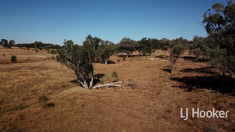 Gwydir Highway Inverell NSW 2360 - Image 3