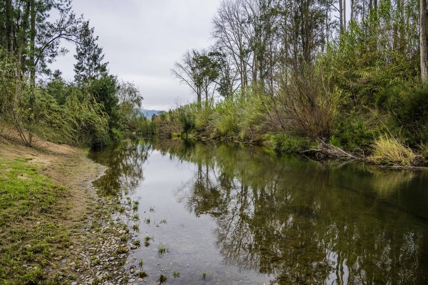 100 Torryburn Road, Torryburn via Vacy NSW 2421 - Image 3