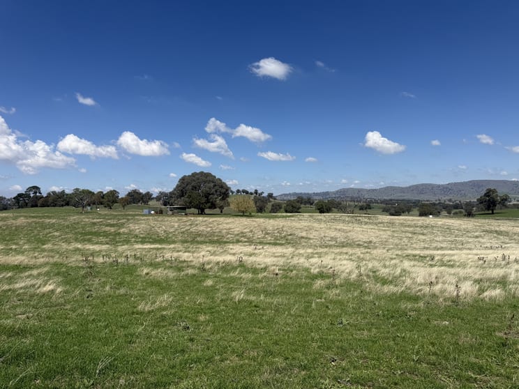 Camerons Hill Lot 17 Reynolds Lane Binalong NSW 2584 - Image 3