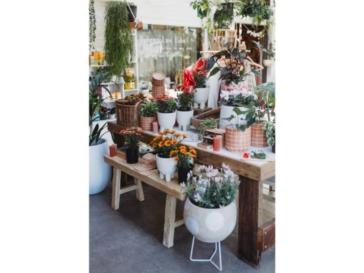 Click to view all images Gardening business for sale in Kirrawee - Image 1