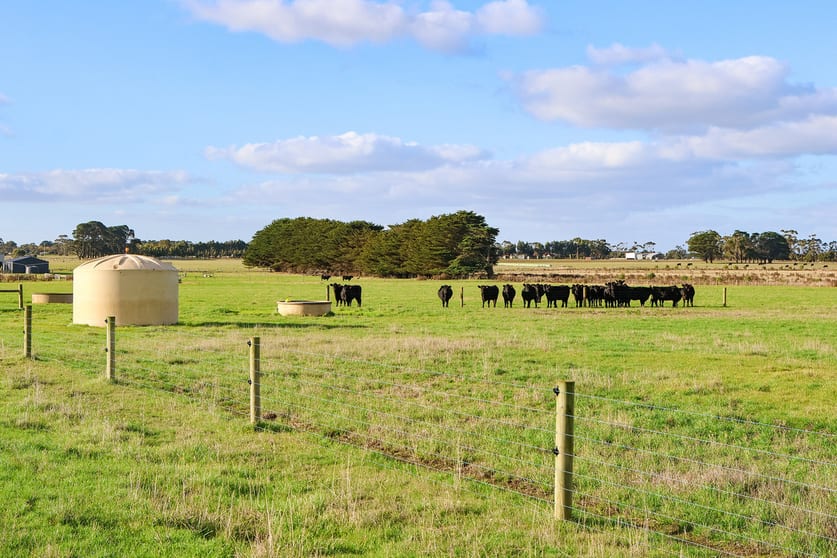 59 Gapes Road Winslow VIC 3281 - Image 3