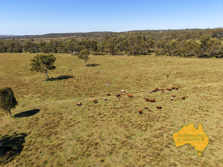 Click to view all images 55, . TIM SHEA CREEK ROAD Wengenville QLD 4615 - Image 1