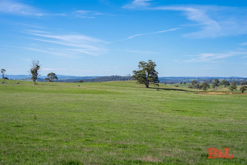 170 Dog Rocks Road Black Springs NSW 2787 - Image 2