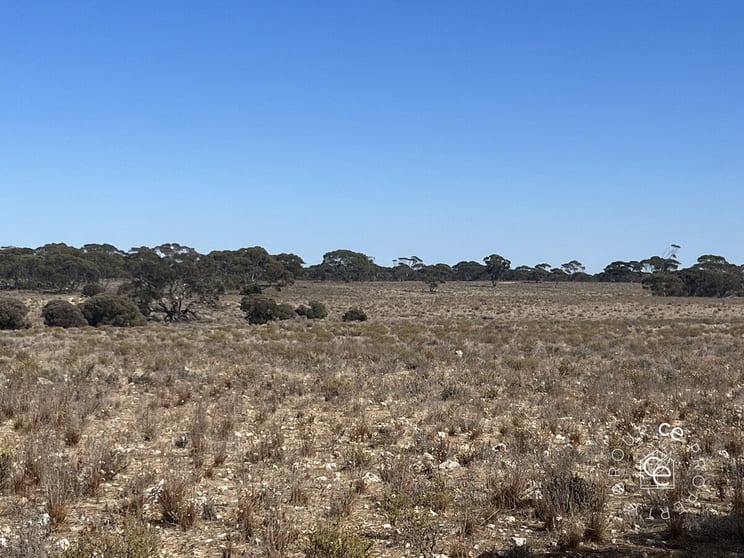Click to view all images Lot 19 Sleeper Track Swan Reach SA 5354 - Image 1
