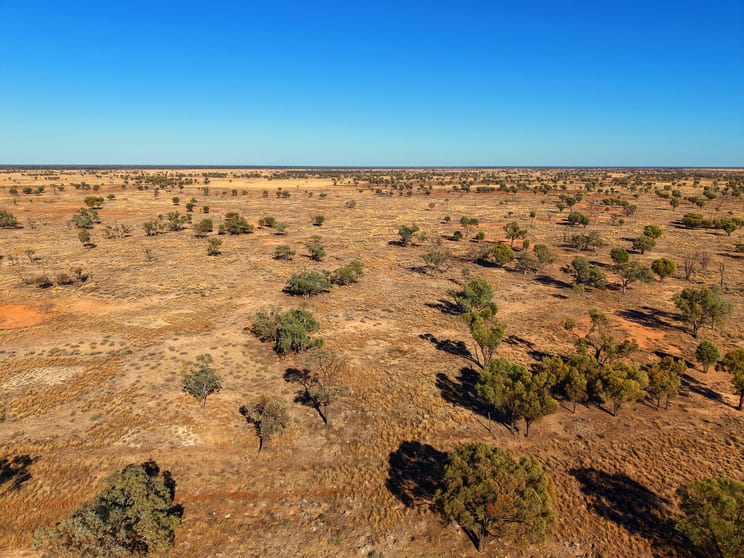 Click to view all images Bundaleer South Plains Road Cunnamulla QLD 4490 - Image 2