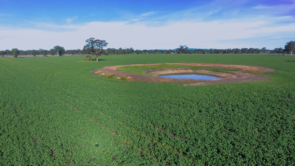 Click to view all images 0 Henty Walla Road Culcairn NSW 2660 - Image 3