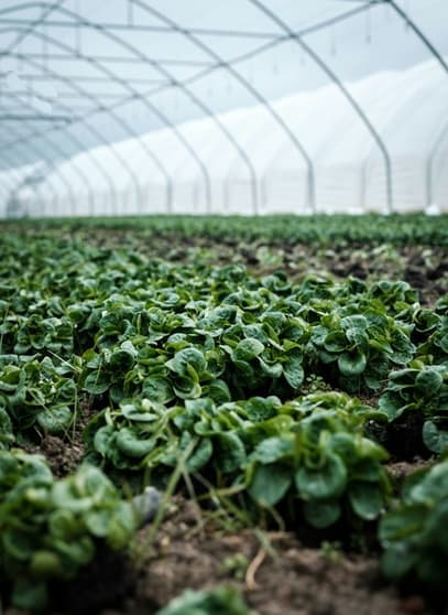 Click to view all images Agricultural business for sale in Leppington - Image 1