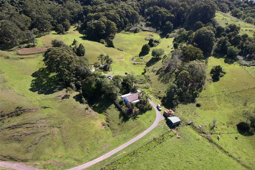 Click to view all images 142 Cedar Hill Drive Black Hill NSW 2322 - Image 3