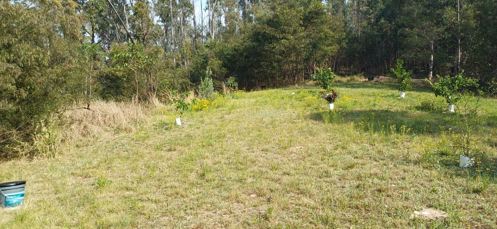 210 Laytons Range Road Nymboida NSW 2460 - Image 2