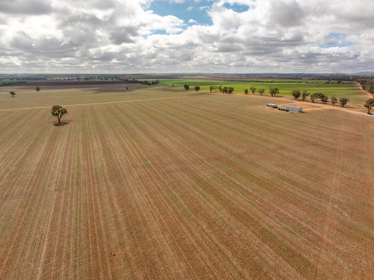 Click to view all images Old Junee NSW 2652 - Image 3
