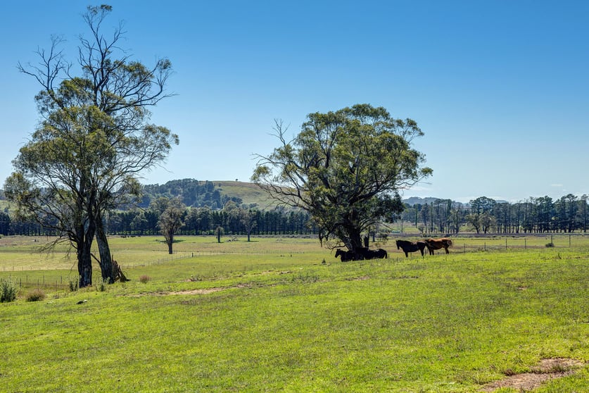 80 Burnhams Lane Exeter NSW 2579 - Image 1
