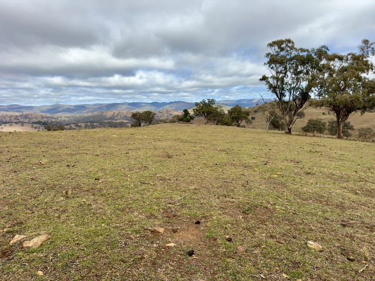 Click to view all images Lot 65, 4780 Ilford Sofala Road, Sofala Bathurst NSW 2795 - Image 2