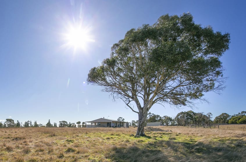175 Jinglemoney Road Braidwood NSW 2622 - Image 1
