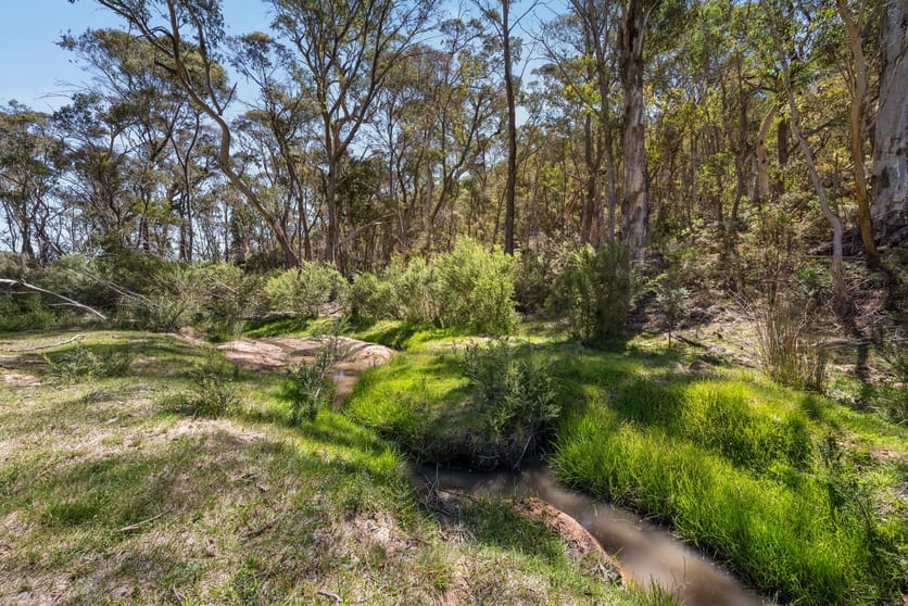 91 Griffins Road Braidwood NSW 2622 - Image 2