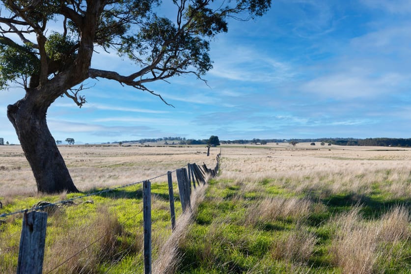 Click to view all images Lot 4 Browns Lane Snake Valley VIC 3351 - Image 1