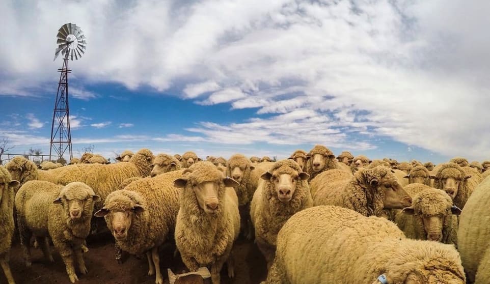 Click to view all images via Stuart Highway Glendambo SA 5719 - Image 2