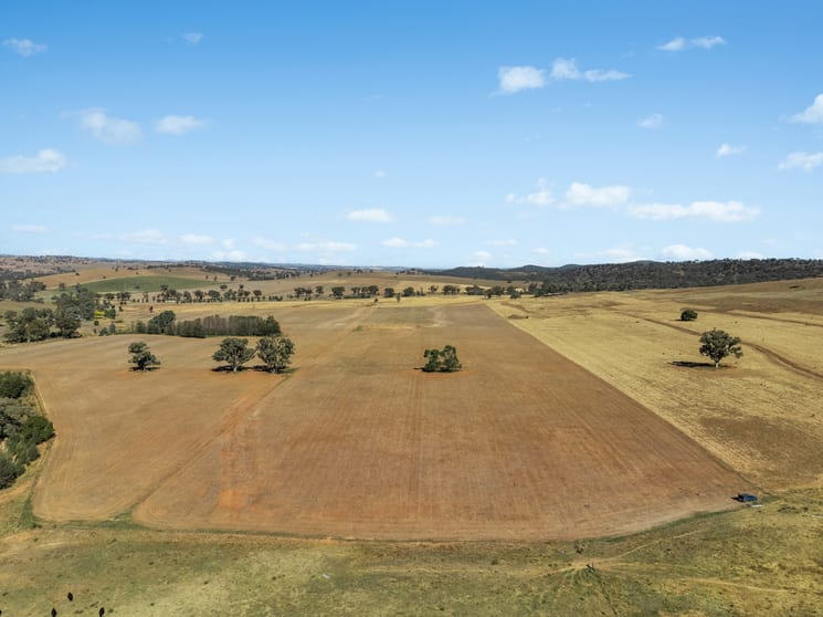 Click to view all images - Coates Creek Road Manildra NSW 2865 - Image 1