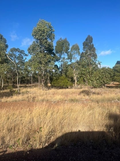 Click to view all images 285 O'Hallorans Road Tara QLD 4421 - Image 2