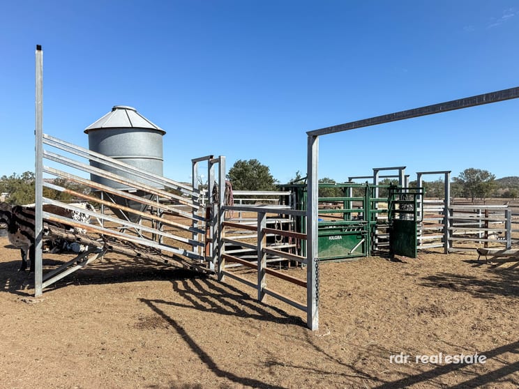Click to view all images 1741 Bukkulla Road, Ashford Inverell NSW 2360 - Image 3
