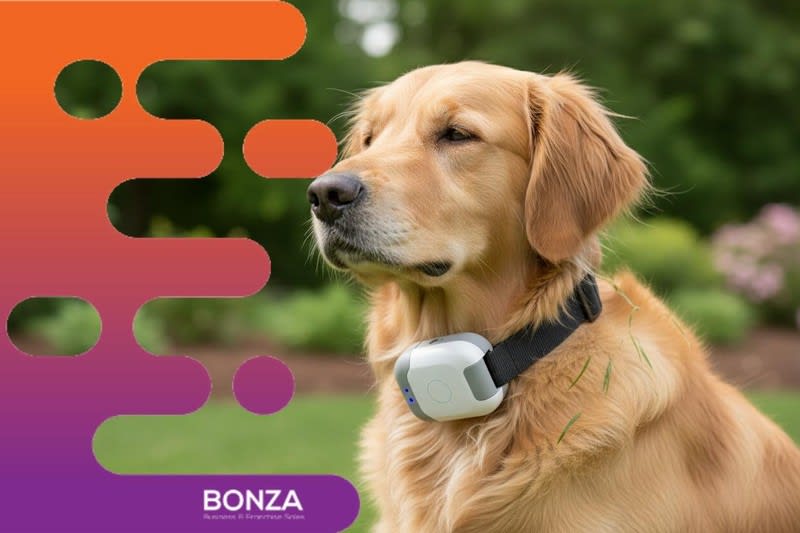 Click to view all images Animal Related business for sale in Wangara - Image 3