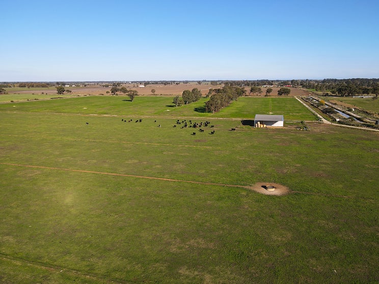 Curr Road Tongala VIC 3621 - Image 2