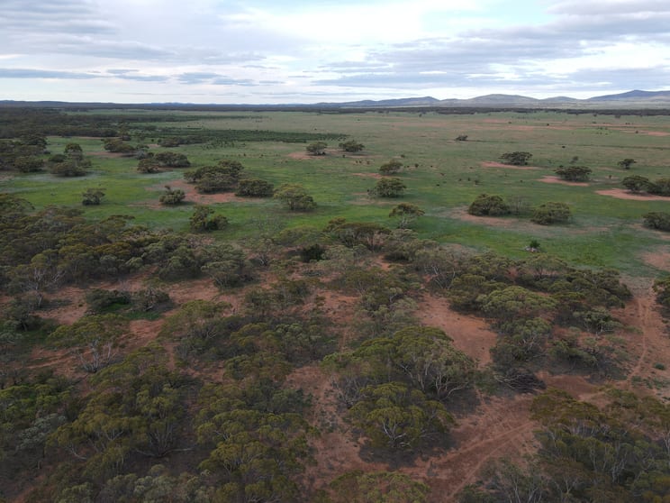 Pine Creek Road Parnaroo SA 5422 - Image 3