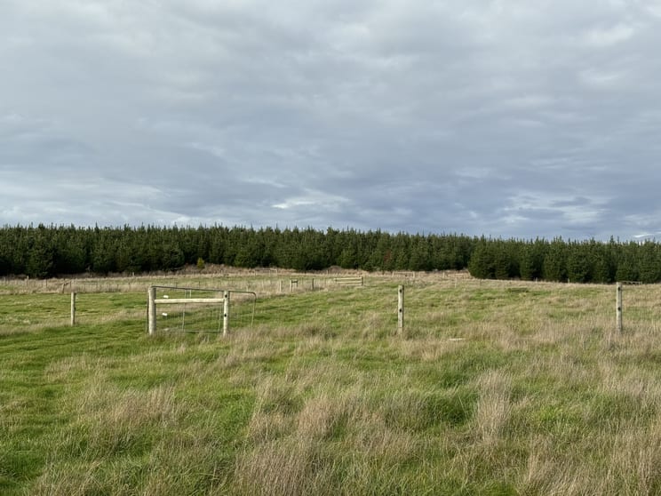 Click to view all images 2431 Bridport Road Bridport TAS 7262 - Image 3