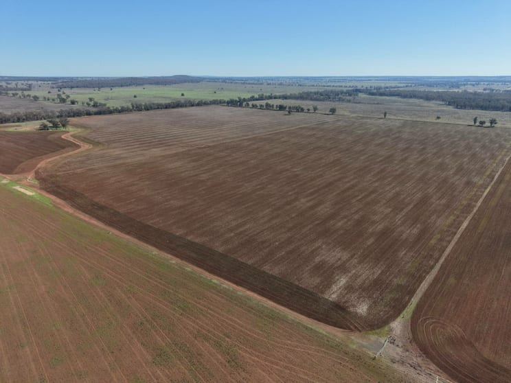 366 Mercadool Lane Bogan Gate NSW 2876 - Image 1
