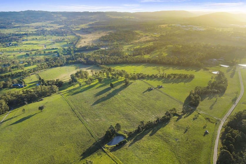 290 Old South Road Alpine NSW 2575 - Image 1