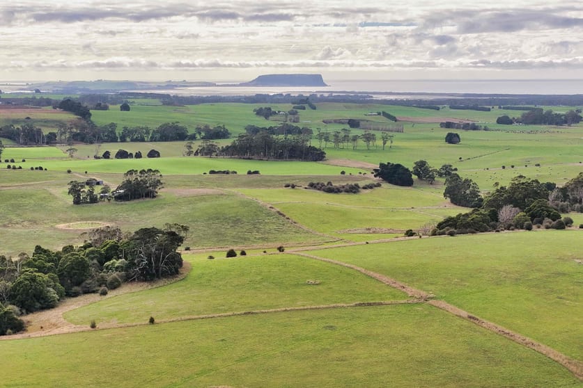 699 Mengha Road Forest TAS 7330 - Image 3