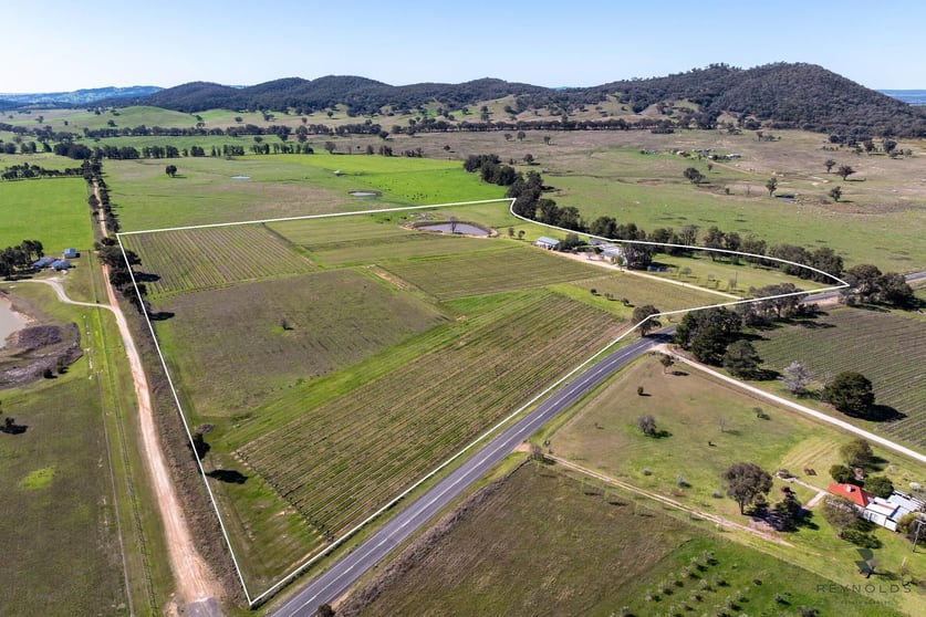 Click to view all images 548 Hill End Road Mudgee NSW 2850 - Image 3
