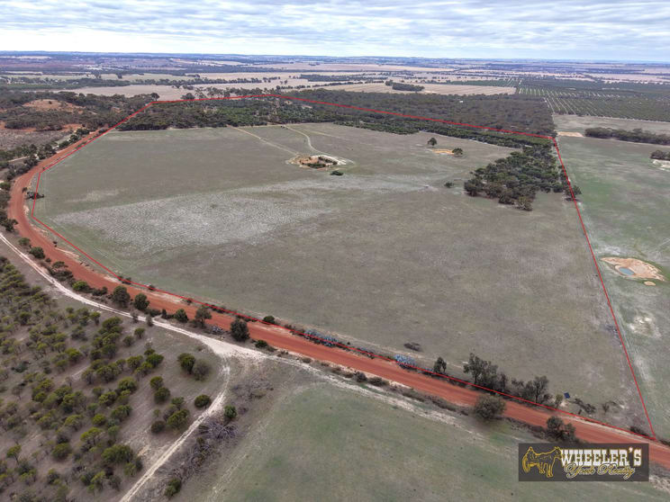 38 Avoca Road (Morbinning) Beverley WA 6304 - Image 3