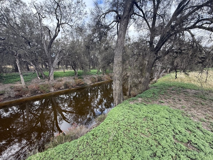 Click to view all images 599 Mannavale Road Caljie WA 6302 - Image 1