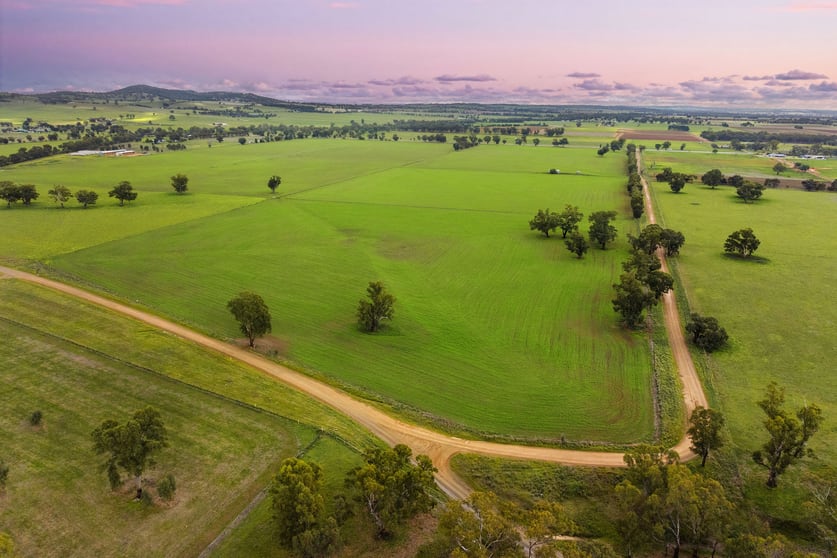 453 Old Narrandera Road Gobbagombalin NSW 2650 - Image 3