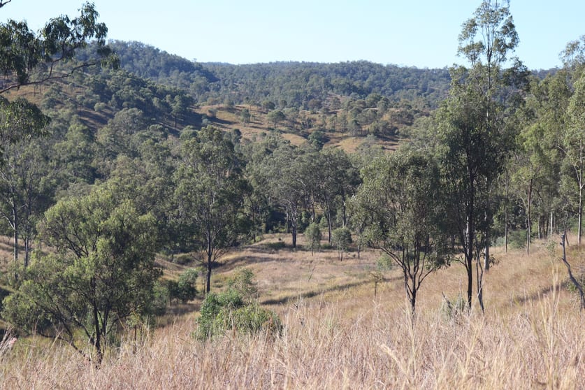 Click to view all images 'Chapmans' Monto Mount Perry Road Mount Perry QLD 4671 - Image 1