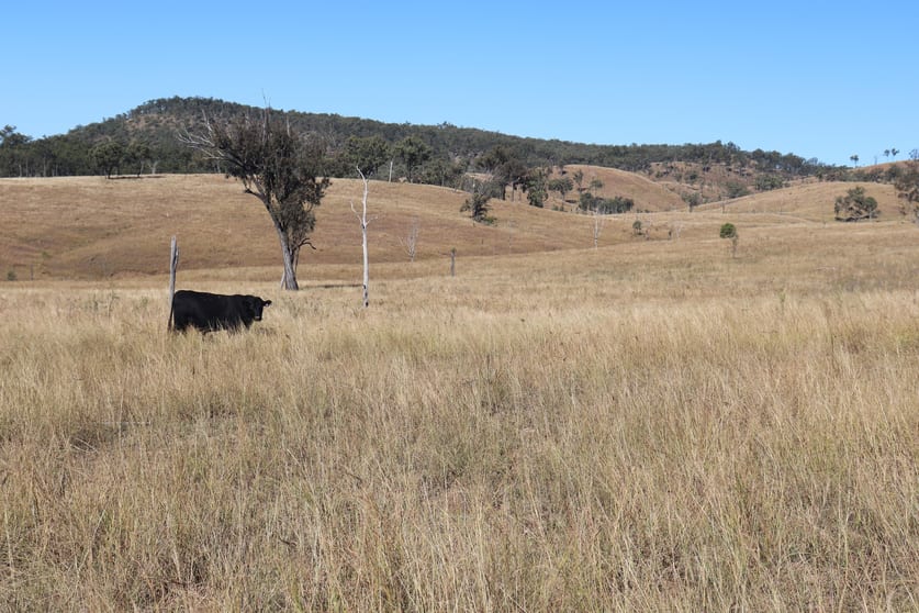 Click to view all images 'Sparrows' Monto Mount Perry Road Mount Perry QLD 4671 - Image 1