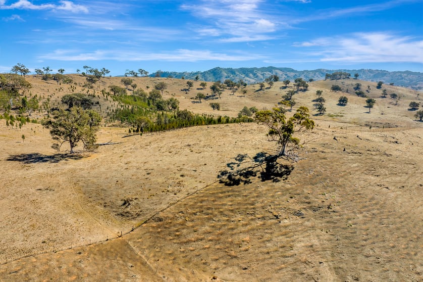 2096 Hill End Road Mudgee NSW 2850 - Image 3