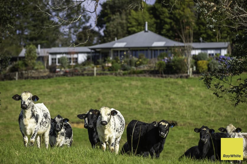 511 Whisky Creek Road Dorrigo NSW 2453 - Image 3