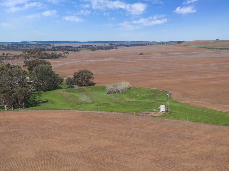 Click to view all images 141/ Eudunda Road Frankton SA 5374 - Image 1