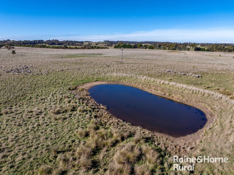 Click to view all images 3150 Range Road Bannister NSW 2580 - Image 3