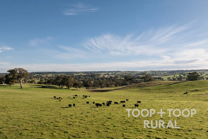 Lot/197 Craneford Road Flaxman Valley SA 5235 - Image 2