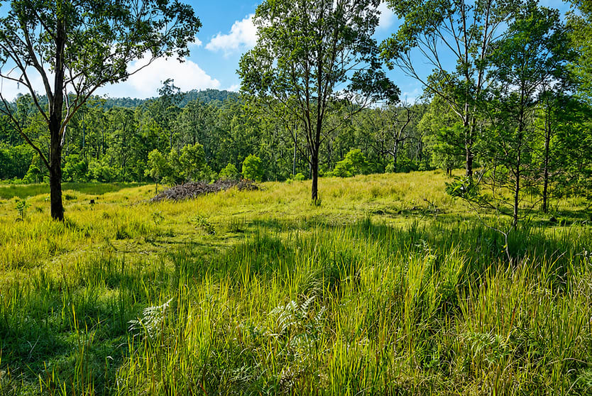 Click to view all images Lot 105 97 Long Gully Road Drake NSW 2469 - Image 1