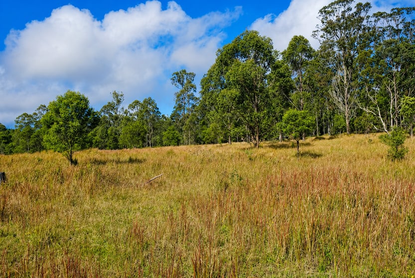 Click to view all images Lot 105 97 Long Gully Road Drake NSW 2469 - Image 3